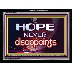 HOPE NEVER FAILS   Framed Lobby Wall Decoration   (GWAMEN6760)   