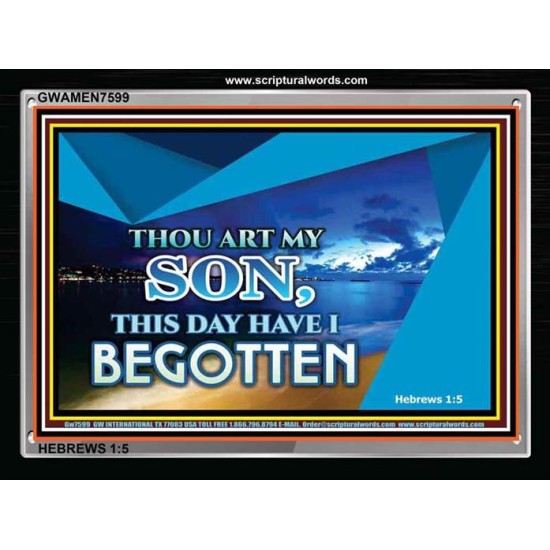 GODS SON   Framed Bible Verses Online   (GWAMEN7599)   