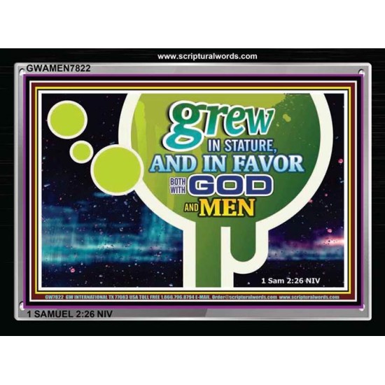 GODS FAVOR   Encouraging Bible Verse Framed   (GWAMEN7822)   