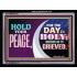 HOLD YOUR PEACE   Christian Artwork Frame   (GWAMEN8219)   "33X25"