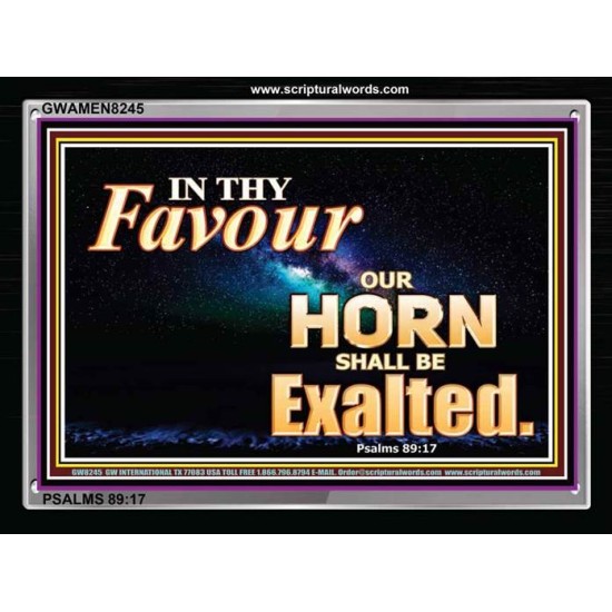 IN THY FAVOUR   Inspirational Bible Verse Framed   (GWAMEN8245)   