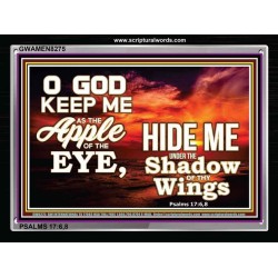 UNDER THE SHADOW OF THY WINGS   Frame Scriptural Wall Art   (GWAMEN8275)   "33X25"