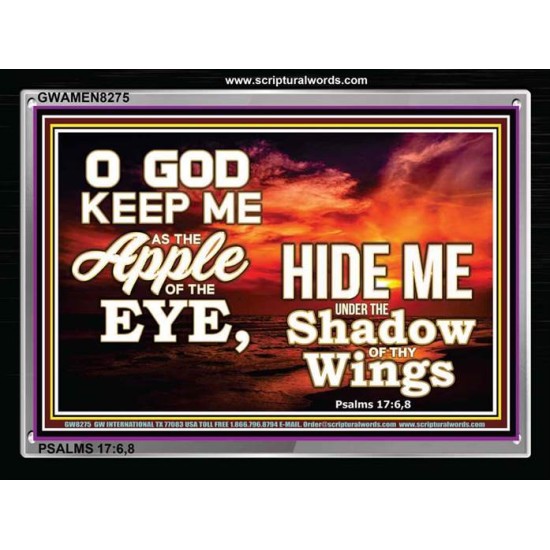 UNDER THE SHADOW OF THY WINGS   Frame Scriptural Wall Art   (GWAMEN8275)   