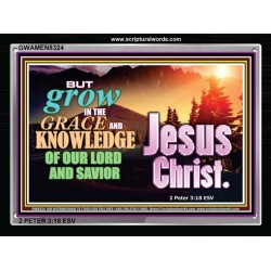 GROW IN GRACE   Bible Verse Framed Art   (GWAMEN8324)   