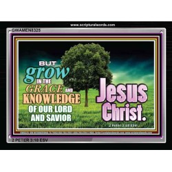 GROW IN GRACE   Inspirational Bible Verses Framed   (GWAMEN8325)   