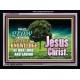 GROW IN GRACE   Inspirational Bible Verses Framed   (GWAMEN8325)   