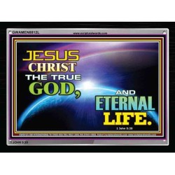JESUS CHRIST THE TRUE GOD   Contemporary Christian Poster Framed   (GWAMEN8812L)   