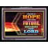 HOPE FOR YOUR FUTURE   Framed Bedroom Wall Decoration   (GWAMEN8919)   "33X25"