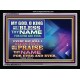 I WILL BLESS THY NAME   Framed Restroom Wall Decoration   (GWAMEN8924)   