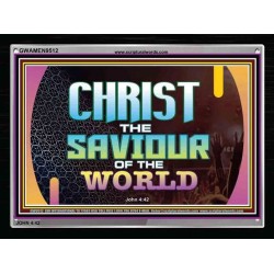 CHRIST THE SAVIOUR OF THE WORLD   Picture Frame   (GWAMEN9512)   