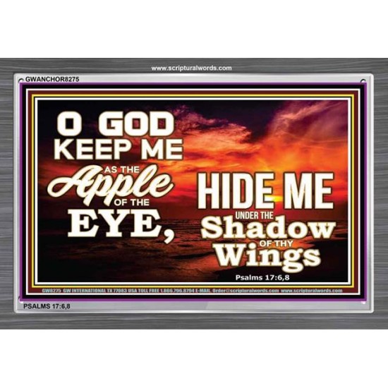 UNDER THE SHADOW OF THY WINGS   Frame Scriptural Wall Art   (GWANCHOR8275)   