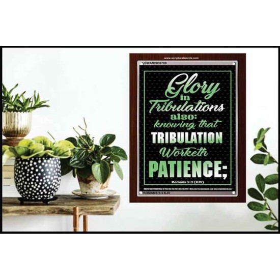 TRIBULATION WORKETH PATIENCE   Scripture Wood Framed Signs   (GWARISE6759)   