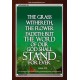 THE WORD OF GOD STAND FOREVER   Framed Scripture Art   (GWARISE103)   
