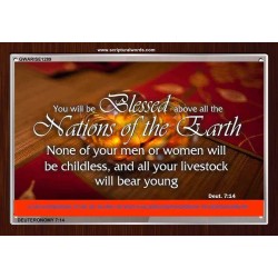 BLESSED ABOVE ALL NATIONS   Custom Contemporary Christian Wall Art   (GWARISE1289)   