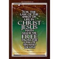 THE SPIRIT OF LIFE IN CHRIST JESUS   Framed Religious Wall Art    (GWARISE1317)   