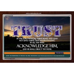 TRUST IN THE LORD   Modern Wall Art   (GWARISE295)   "33x25"