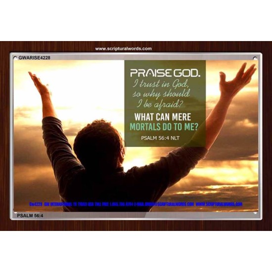 TRUST IN GOD   Framed Bible Verse   (GWARISE4228)   