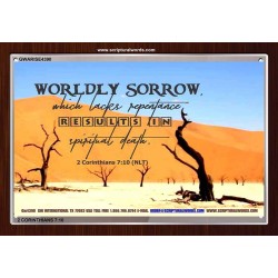 WORDLY SORROW   Custom Frame Scriptural ArtWork   (GWARISE4390)   "33x25"