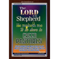 THE LORD IS MY SHEPHERD   Contemporary Christian poster   (GWARISE6359)   