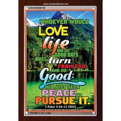 TURN FROM EVIL AND DO GOOD   Scriptural Wall Art   (GWARISE6729)   