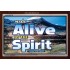 ALIVE BY THE SPIRIT   Framed Guest Room Wall Decoration   (GWARISE6736)   "33x25"