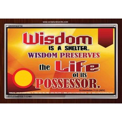 WISDOM   Framed Bible Verse   (GWARISE6782)   "33x25"