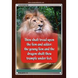 TRAMPLE UNDER LION AND DRAGON   Encouraging Bible Verses Frame   (GWARISE760)   