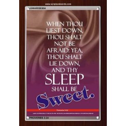 THY SLEEP SHALL BE SWEET   Modern Christian Wall Dcor Frame   (GWARISE804)   