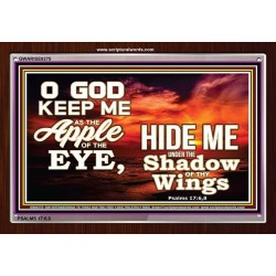 UNDER THE SHADOW OF THY WINGS   Frame Scriptural Wall Art   (GWARISE8275)   "33x25"