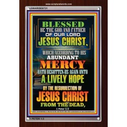 ABUNDANT MERCY   Scripture Wood Frame Signs   (GWARISE8731)   "25x33"