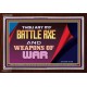 YOU ARE MY WEAPONS OF WAR   Framed Bible Verses   (GWARISE9361)   