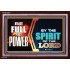 BE FULL OF POWER BY THE SPIRIT OF THE LORD   Inspiration Frame   (GWARISE9526)   "33x25"