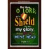A SHIELD FOR ME   Bible Verses For the Kids Frame    (GWARK1752)   "25X33"