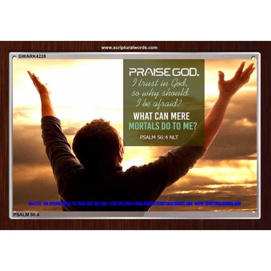 TRUST IN GOD   Framed Bible Verse   (GWARK4228)   