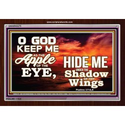 UNDER THE SHADOW OF THY WINGS   Frame Scriptural Wall Art   (GWARK8275)   "33X25"