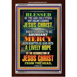 ABUNDANT MERCY   Scripture Wood Frame Signs   (GWARK8731)   "25X33"