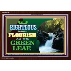 RIGHTEOUS SHALL FLOURISH   Bible Verse Framed Art   (GWARK9267)   