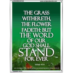 THE WORD OF GOD STAND FOREVER   Framed Scripture Art   (GWARMOUR103)   