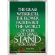 THE WORD OF GOD STAND FOREVER   Framed Scripture Art   (GWARMOUR103)   