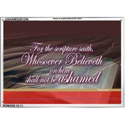 WHOSOEVER BELIEVETH   Custom Framed Scriptural ArtWork   (GWARMOUR1296)   "18X12"