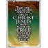 THE SPIRIT OF LIFE IN CHRIST JESUS   Framed Religious Wall Art    (GWARMOUR1317)   "12X18"