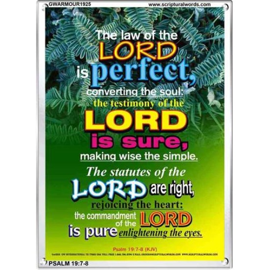 THE LAW OF THE LORD   Large Framed Scripture Wall Art   (GWARMOUR1925)   