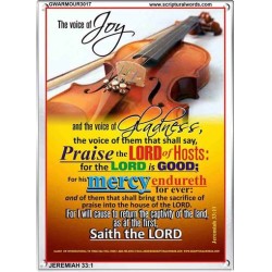 THE VOICE OF JOY   Scripture Wooden Framed Signs   (GWARMOUR3017)   
