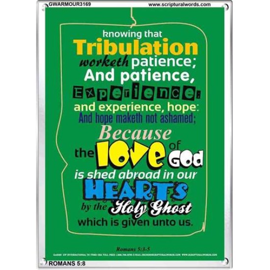 TRIBULATION WORKETH PATIENCE   Custom Framed Bible Verse   (GWARMOUR3169)   