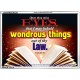 WONDEROUS THINGS   Kitchen Wall Dcor   (GWARMOUR3381)   