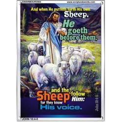 THEY KNOW HIS VOICE   Contemporary Christian Poster   (GWARMOUR3504)   