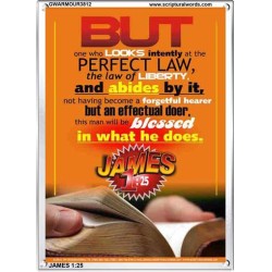 THE LAW OF LIBERTY   Bible Verses Frame Online   (GWARMOUR3812)   