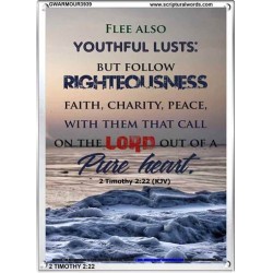 YOUTHFUL LUSTS   Bible Verses to Encourage  frame   (GWARMOUR3939)   "12X18"