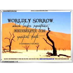 WORDLY SORROW   Custom Frame Scriptural ArtWork   (GWARMOUR4390)   "18X12"