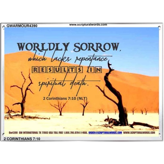 WORDLY SORROW   Custom Frame Scriptural ArtWork   (GWARMOUR4390)   
